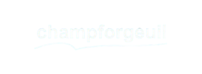 logo_champforgeuil_INFOGRAPHISTE_petit-removebg-preview-qvvm96y36zdloed8165kxu3oytozyz0lfwm5drnpj4